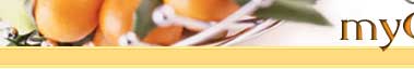 Search for a culinary career by zip code on the right