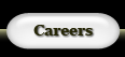 your community yellow pages - careers